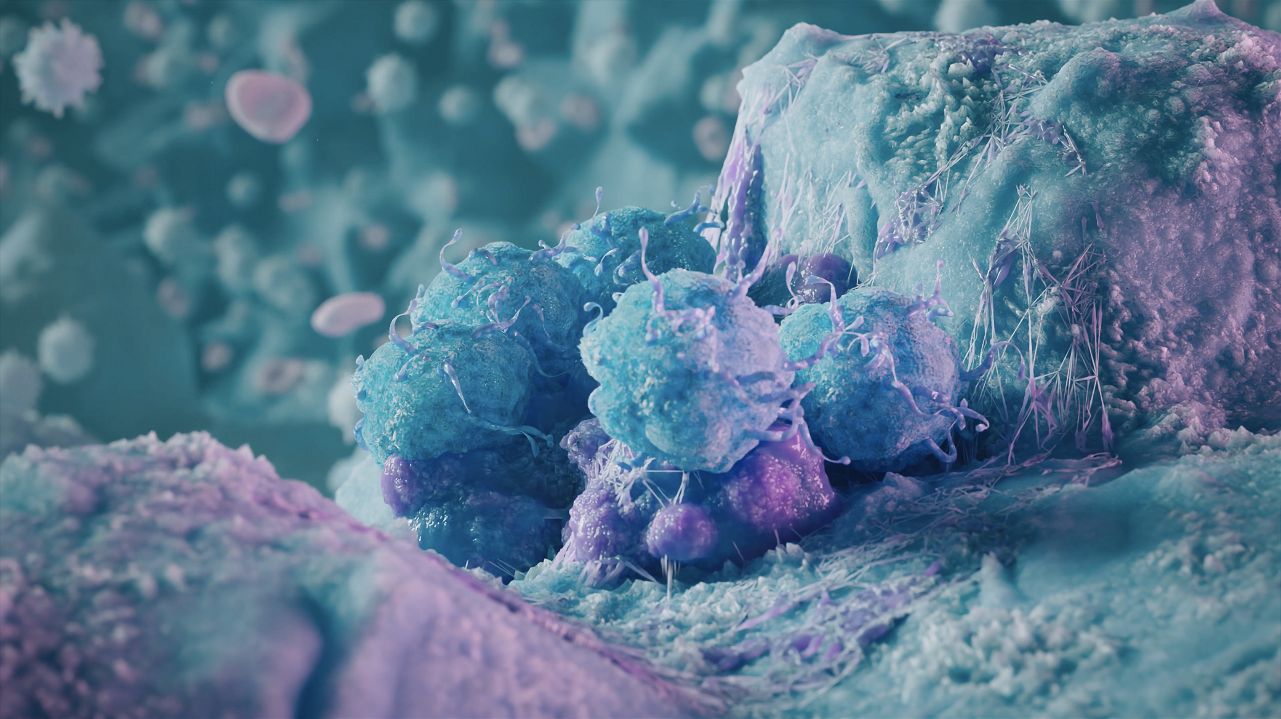 3d animation of Blue t-cells removing a dark purple tumour cluster.png